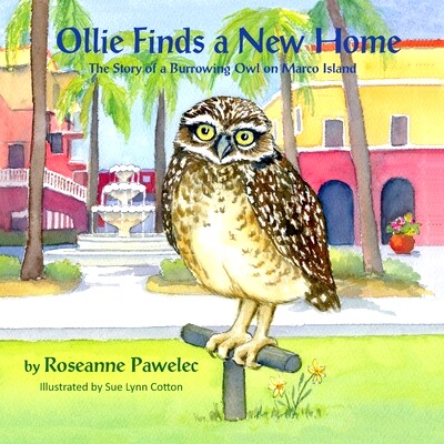预订 Ollie Finds a New Home, the Story of a Burrowing Owl on Marco Island: 9781614933830