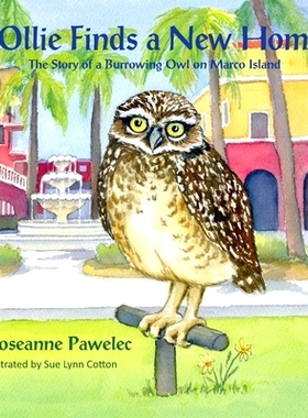 预订 Ollie Finds a New Home, the Story of a Burrowing Owl on Marco Island: 9781614933830