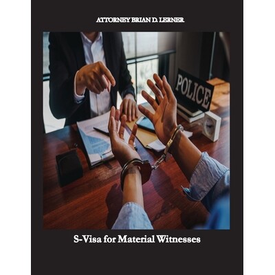 预订 S-Visa for Material Witnesses: Getting a Work Permit and Legal Status by Being a Material Witness 9781958990087