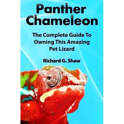 预订 Panther Chameleons, Complete Owner’s Manual: 9780993172021