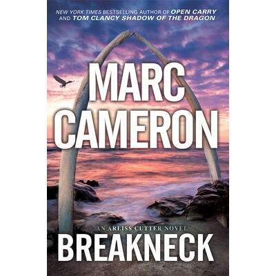 预订 Breakneck: A Captivating Novel of Suspense: 9781496737618