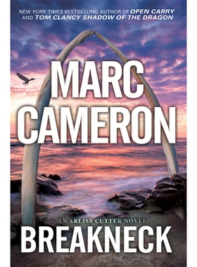 预订 Breakneck: A Captivating Novel of Suspense: 9781496737618