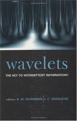 【预订】Wavelets: the Key to Intermittent Information?