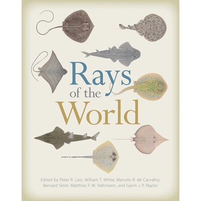 预订 Rays of the World 世界的光芒: 9781501705328