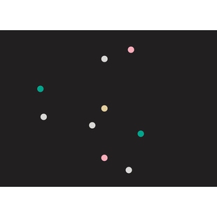 预订 Suki Seokyeong Kang: Black Mat Oriole Suki Seokyeong Kang  -  Black Mat Oriole: 9789492811547