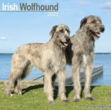 【预订】Irish Wolfhound 2023 Wall Calendar 9781839417191