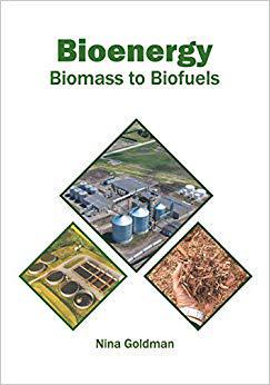 【预售】Bioenergy: Biomass to Biofuels