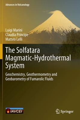 【预订】The Solfatara Magmatic-Hydrothermal System 9783030984700