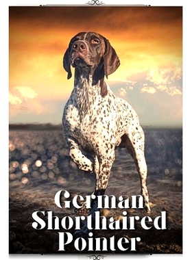 预订 German Shorthaired Pointer: Dog breed overview and guide 德国短毛犬：犬种概述和指南: 9798396318588