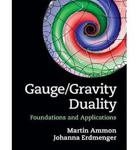 现货 Gauge/Gravity Duality