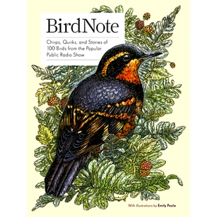预订 Birdnote: 100 Illustrated Bird Stories to Inspire Your Bird Watching