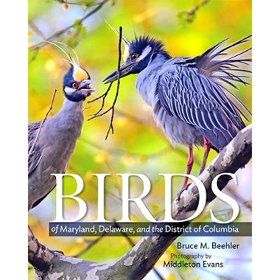 预订 Birds of Maryland, Delaware, and the District of Columbia 马里兰州、特拉华州和哥伦比亚特区的鸟类: 9781421427331