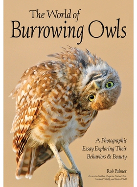 预订 World of Burrowing Owls: A Photographic Essay Exploring Their Behaviors & Beauty 挖洞的猫头鹰: 摄影随笔: 9781682034