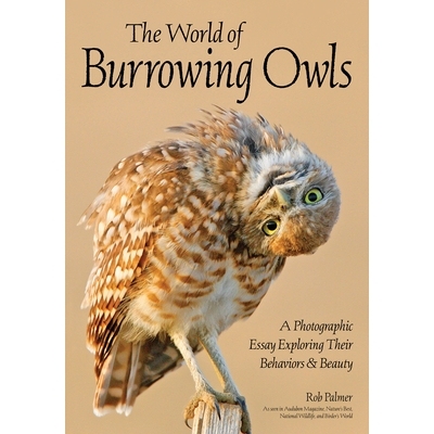 预订 World of Burrowing Owls: A Photographic Essay Exploring Their Behaviors & Beauty 挖洞的猫头鹰: 摄影随笔: 9781682034