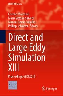 9783031470271 and Simulation XIII Eddy Direct Large Dles13 Proceedings 预订