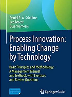 【预售】Process Innovation: Enabling Change by Technology