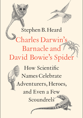 现货Charles Darwin’s Barnacle and David Bowie’s Spider