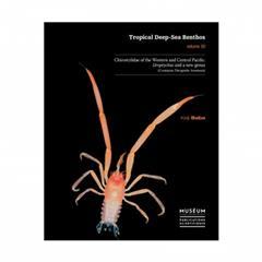 国外库房发货，通常付款后5-8周到货！