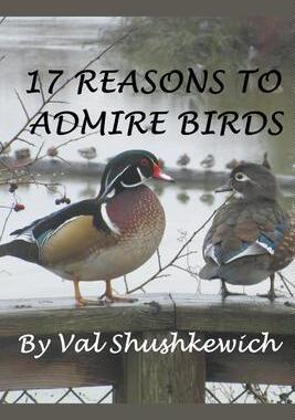 [预订]17 Reasons to Admire Birds 9798201498535