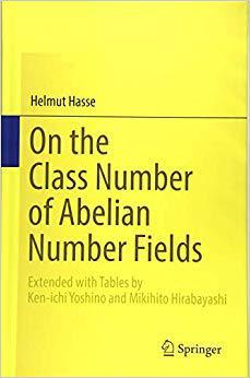 【预售】On the Class Number of Abelian Number Fields