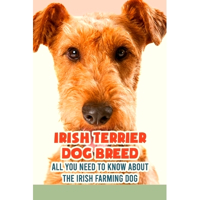 预订 Irish Terrier Dog Breed: All You Need to Know about The Irish Farming Dog: Facts about The Rollicking Terriers of I