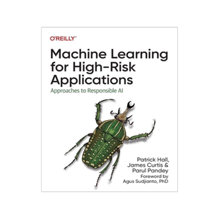 [预订]Machine Learning for High-Risk Applications: Approaches to Responsible AI 9781098102432