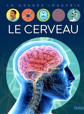 预订 Le cerveau 大脑: 9782215176398