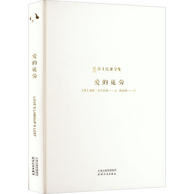 爱的徒劳  9787201185446