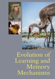【预订】Evolution of Learning and Memory Mechanisms 9781108738316