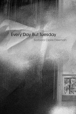 【预订】Every Day But Tuesday 9781632430113