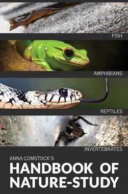[预订]The Handbook Of Nature Study in Color - Fish, Reptiles, Amphibians, Invertebrates 9781922348388