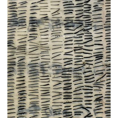 预订 Catherine Eaton Skinner: 108 凯瑟琳·伊顿：108: 9781942185109