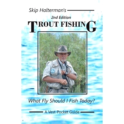 预订 Trout Fishing: What Fly Should I Fish Today?: 9798479144080