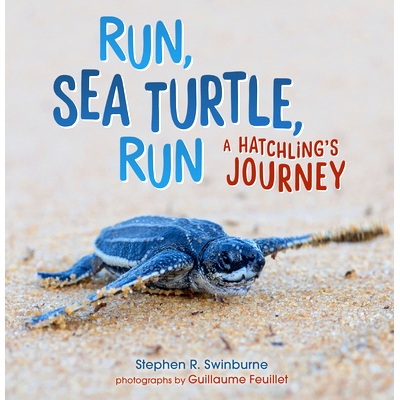 预订 Run, Sea Turtle, Run: A Hatchling's Journey