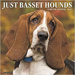 【预售】Just Basset Hounds 2020 Wall Calendar (Dog Breed Calendar)