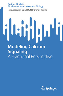 A Fractional Perspective