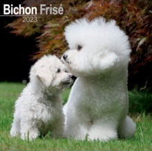 【预订】Bichon Frise 2023 Wall Calendar 9781839416774