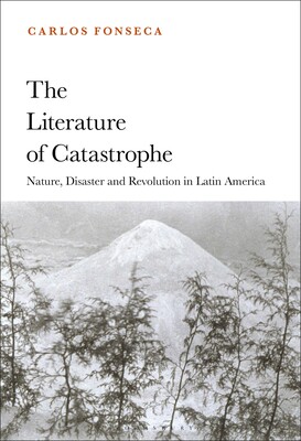 【预订】The Literature of Catastrophe