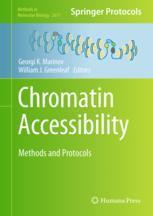 【预订】Chromatin Accessibility 9781071628980