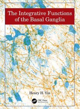 [预订]The Basal Ganglia 9781498768696