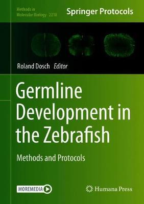 【预订】Germline Development in the Zebrafish