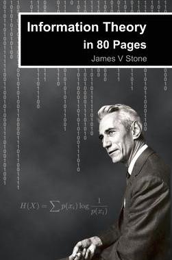 [预订]Information Theory in 80 Pages 9781739672799