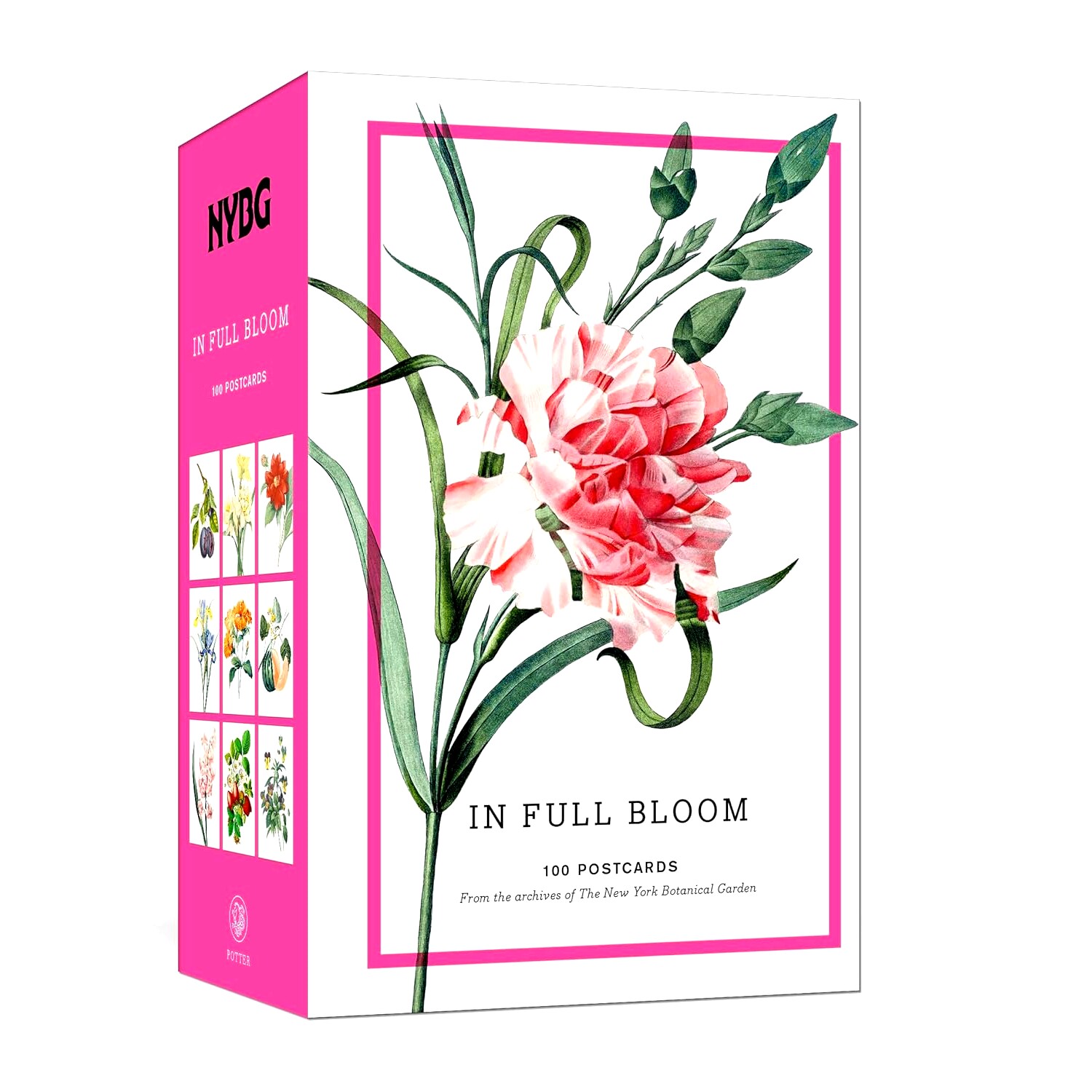 现货 纽约植物园 手绘花卉明信片100张 英文原版 New York Botanical Garden: In Full Bloom 100 Postcards