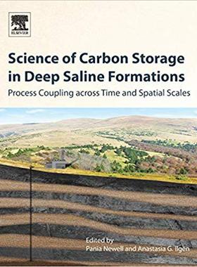 【预售】Science of Carbon Storage in Deep Saline Formations