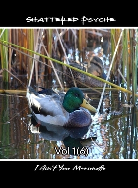 预订 Shattered Psyche Vol 1(6): 9781739039165