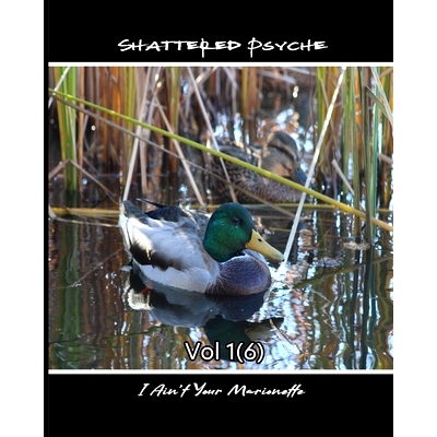 预订 Shattered Psyche Vol 1(6): 9781739039165