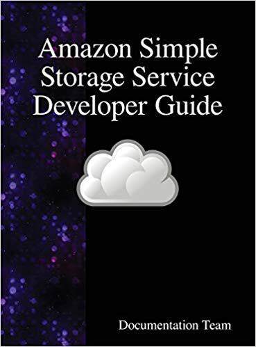 【预售】* Simple Storage Service Developer G...