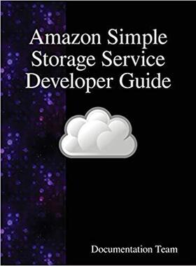 【预售】* Simple Storage Service Developer G...