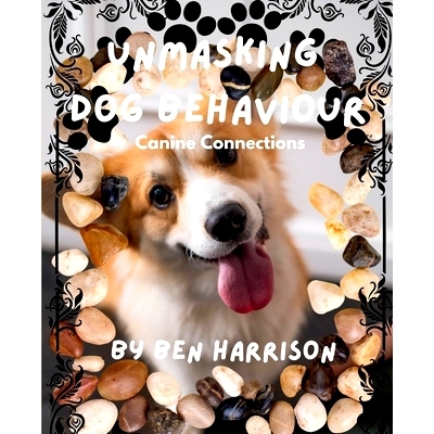 预订 Unmasking Dog Behaviour: Canine Connections: 9798876780843
