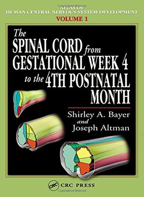 【预订】The Spinal Cord from Gestational Week 4 to the 4th Postnatal Month